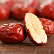 Fresh date fruit red jujube wholesale price